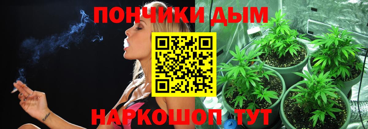 Бошки Шишки семена  Каннабис AK-47  Вход с VPN  Обь  Бошки Шишки план 
